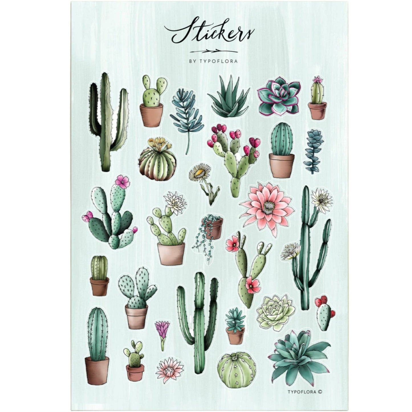 Illustrated Sticker Sheet - Cactus