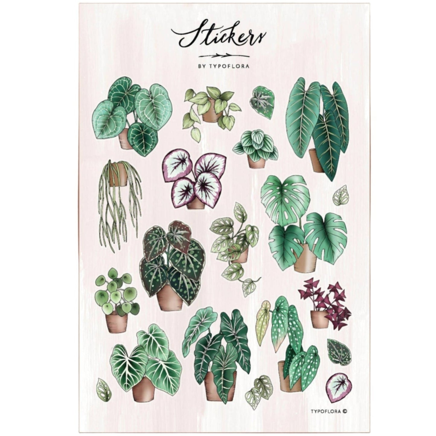 The Homebody Collection - 4x Sticker Sheet Bundle