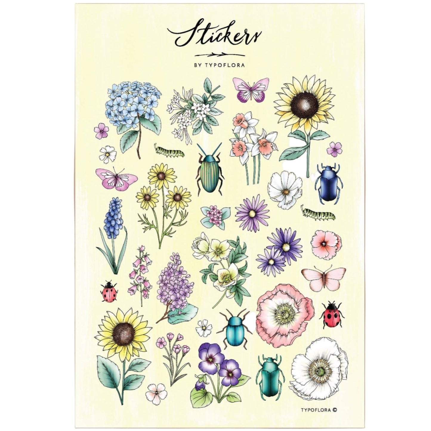 Illustrated Sticker Sheet - Summer Flowers