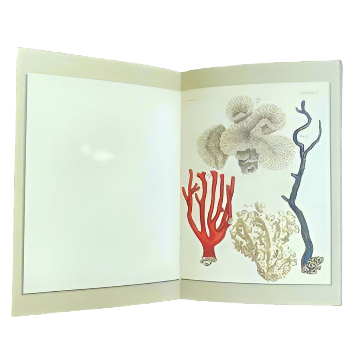 Illustrated Journal - A La Mer/To The Sea