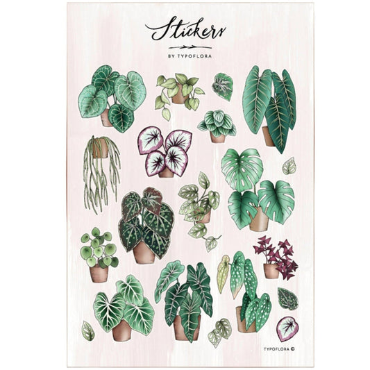 Illustrated Sticker Sheet - Houseplants