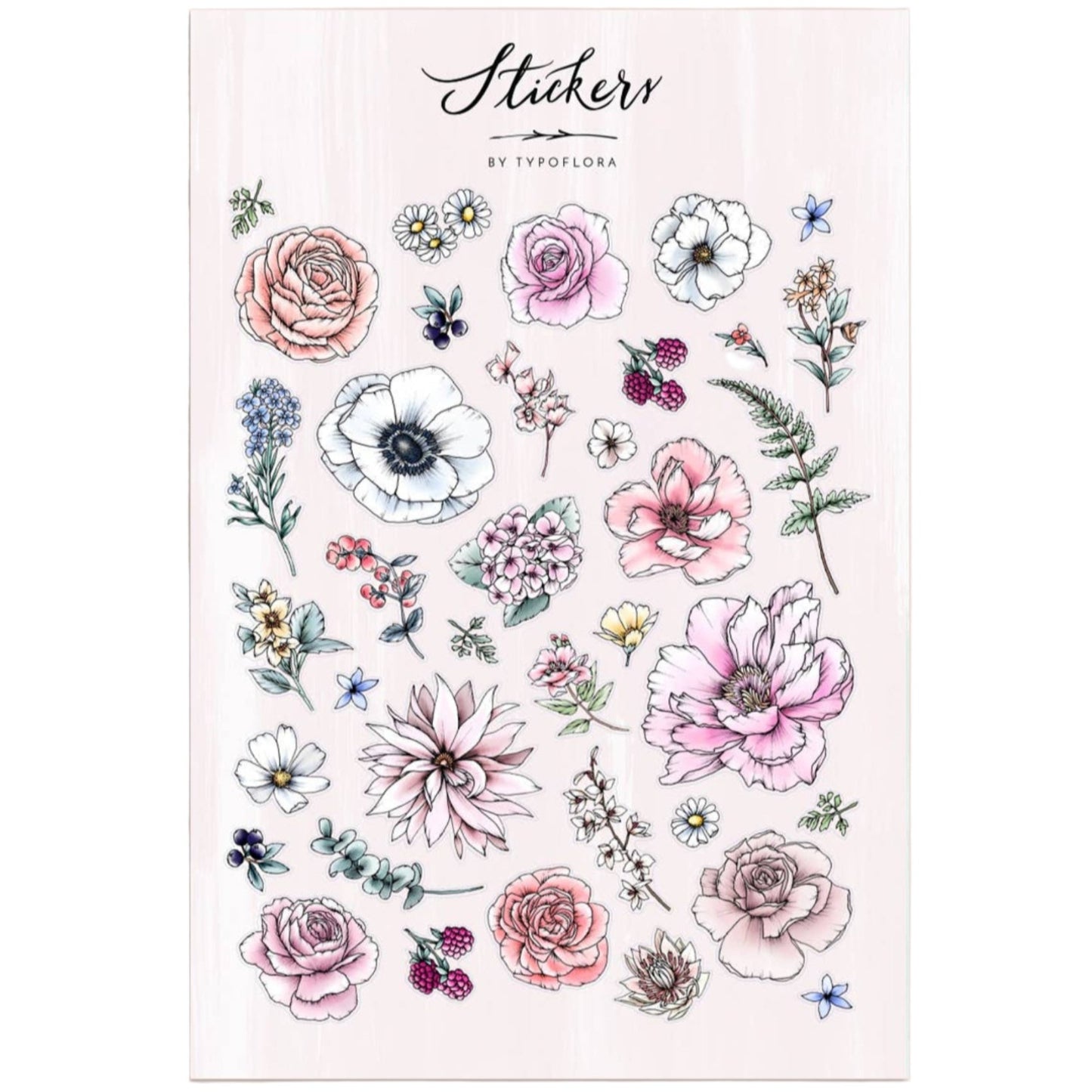 Illustrated Sticker Sheet - Spring Flowers
